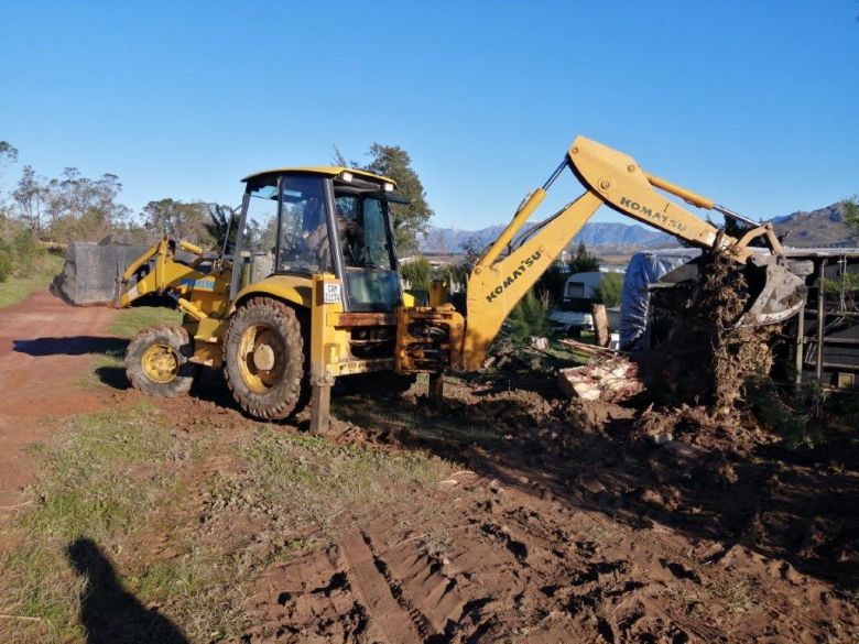 News from our Manager - July 2020