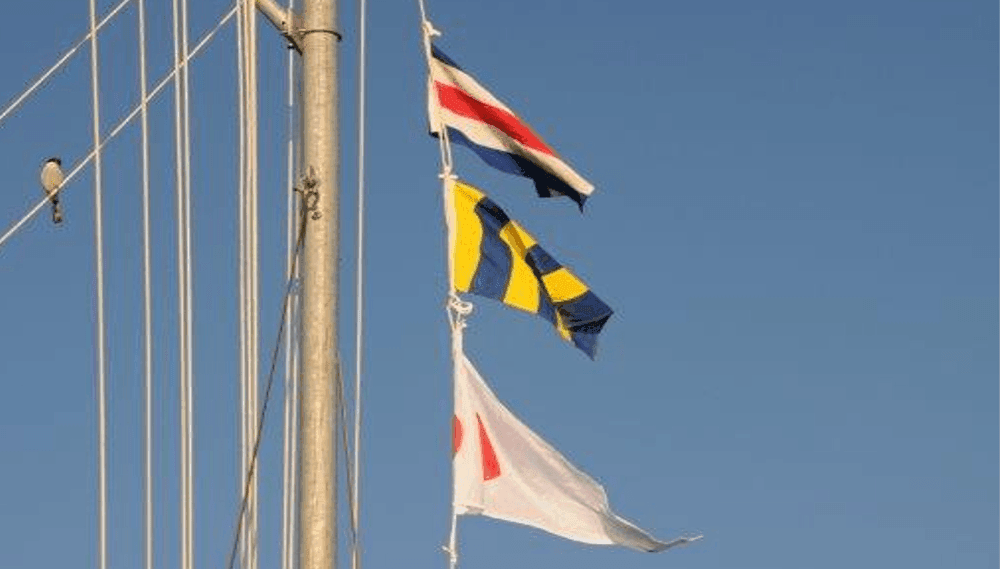 I Will Stand by to Assist You