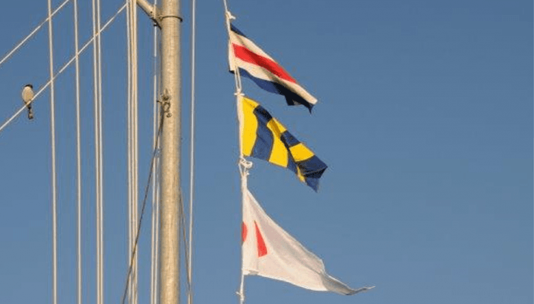 I Will Stand by to Assist You