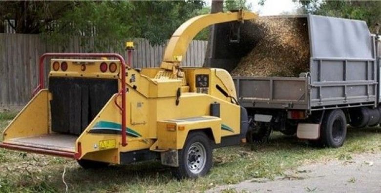 invader tree eradication at Theewater Sports Club